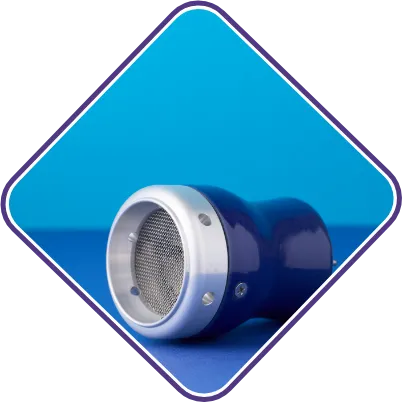 排 濕 氣 食物 1